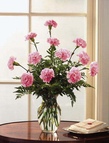 12 Pink Carnations